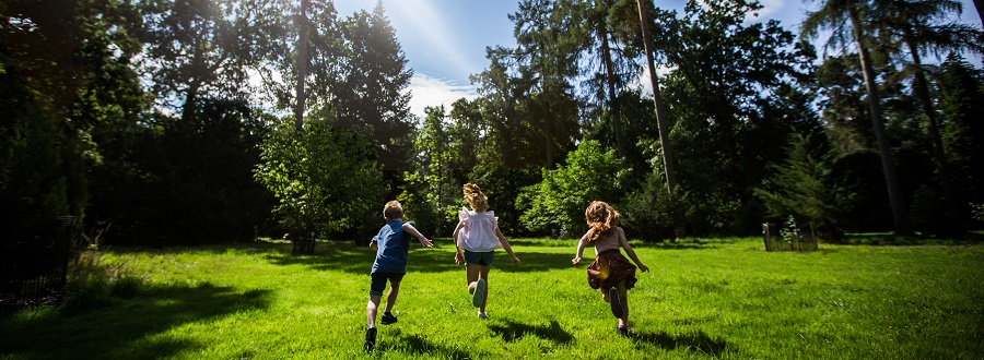 Kids go free offer at Westonbirt Arboretum (photo Johnny Hathaway)